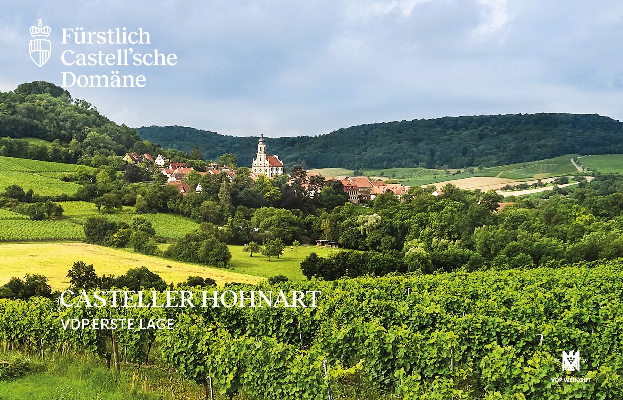 Casteller Hohnart Silvaner VDP.Erste Lage trocken - Fürstlich Castell'sches Domäneamt - Castell