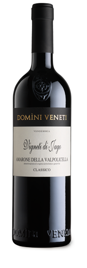 Amarone della Valpolicella 'Vigneti di Jago' - Domini Veneti Cantina Negrar  